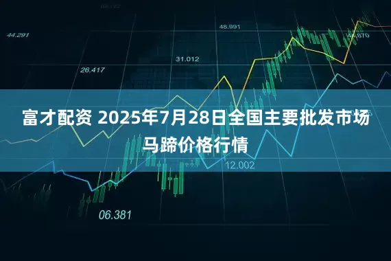 富才配资 2025年7月28日全国主要批发市场马蹄价格行情