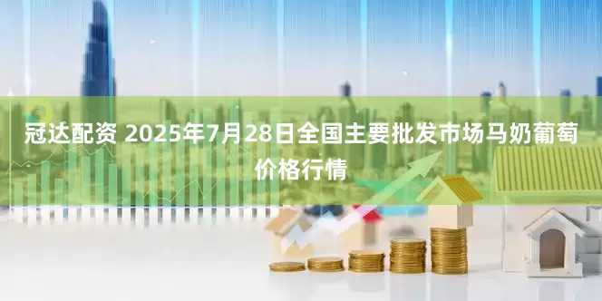 冠达配资 2025年7月28日全国主要批发市场马奶葡萄价格行情
